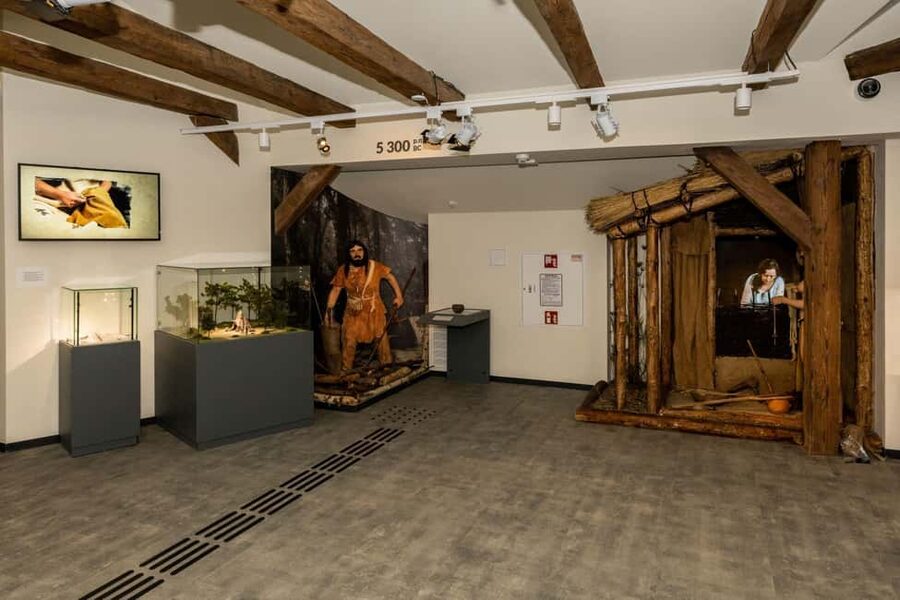Archaeological Museum of Krakow Entrance Ticket - A museum with a surprising past