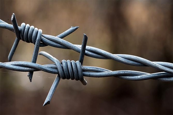 Auschwitz and Birkenau Tour - Birkenau’s vast grounds and destroyed crematoriums