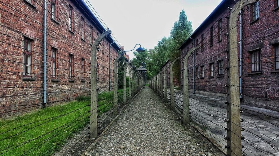 Auschwitz-Birkenau and Krakow Private Car Trip from Katowice - Why the transport arrangement adds value