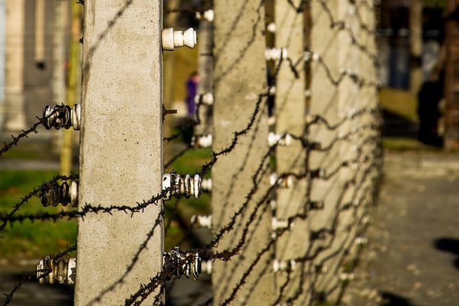 Auschwitz Birkenau and Salt Mine Full Day Guided Tour from Krakow hotel pick up - Guides, drivers, and the small-group question