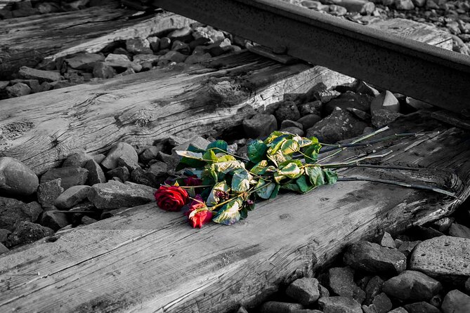 Auschwitz Birkenau and Salt Mine Full Day Guided Tour from Krakow hotel pick up - Is $180.27 a fair price?