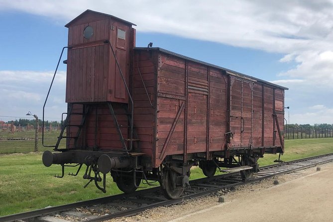 Auschwitz-Birkenau and Wieliczka Salt Mine Museum Guided Tour from Krakow - The guide can make or break the day