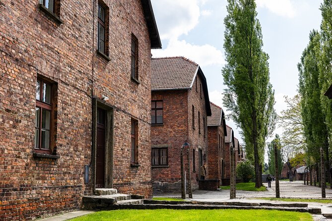 Auschwitz-Birkenau: Day Trip & Transfer from Kraków - How much walking and how much pressure?
