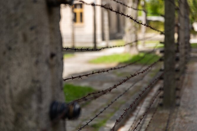 Auschwitz-Birkenau: Day Trip & Transfer from Kraków - Birkenau: scale, silence, and open ground