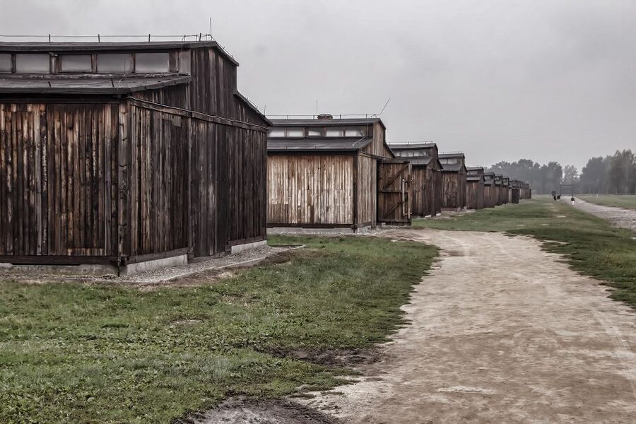Auschwitz-Birkenau: Entrance Ticket and Live Tour Guide - Why a guided visit matters at Auschwitz