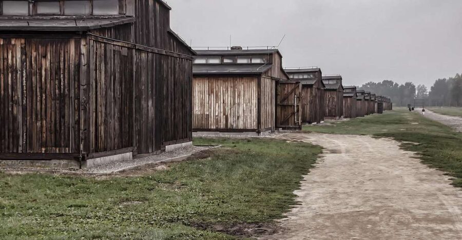 Auschwitz-Birkenau: Entrance Ticket and Live Tour Guide - Auschwitz I: barracks, watchtowers, and evidence