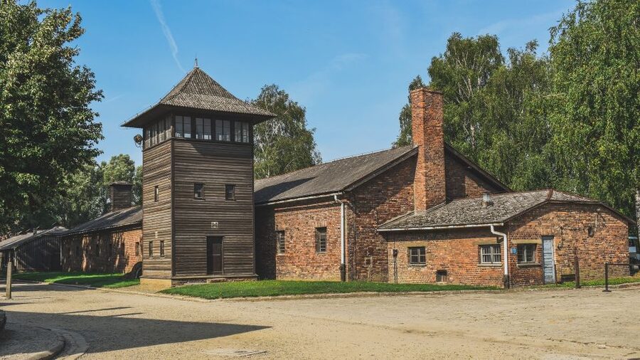 Auschwitz-Birkenau: Entrance Ticket and Live Tour Guide - Practical ways to prepare for the day