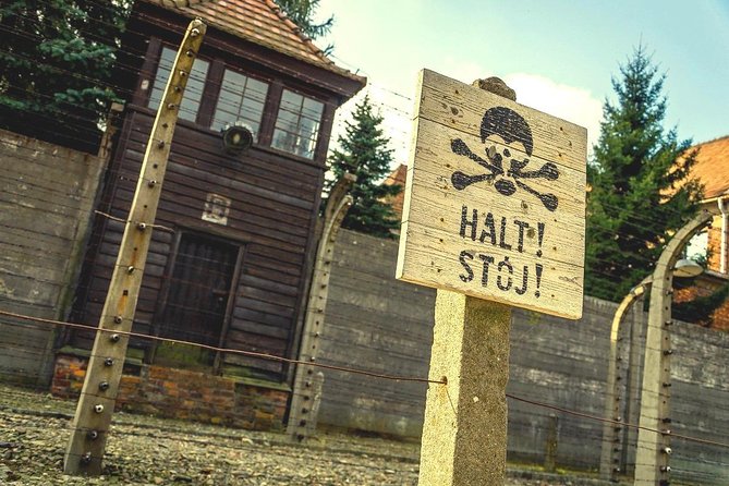 Auschwitz-Birkenau Guided Shared Tour from Krakow - Why this day matters
