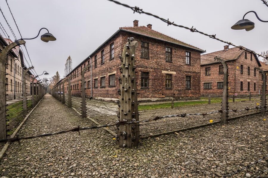 Auschwitz-Birkenau: Guided Tour and Skip-The-Line Ticket - Birkenau: scale, barracks, and open space