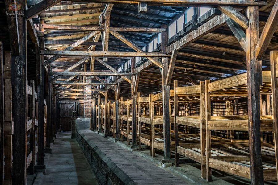 Auschwitz-Birkenau: Guided Tour and Skip-The-Line Ticket - Who will get the most from this visit?