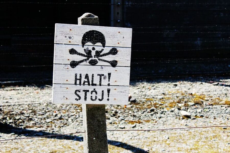 Auschwitz-Birkenau Guided Tour & Transfer from Krakow - Who should choose this Auschwitz tour?
