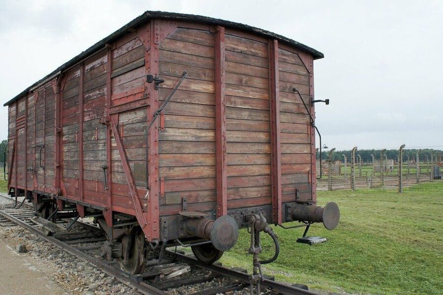 Auschwitz-Birkenau Guided Tour & Transfer from Krakow - Walking through Birkenau’s barracks and killing-center remains