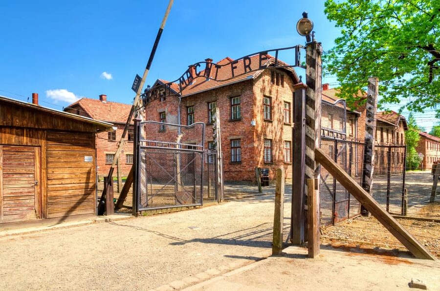 Auschwitz-Birkenau: Guided Tour with Fast Track Ticket - Languages and the role of the museum guide
