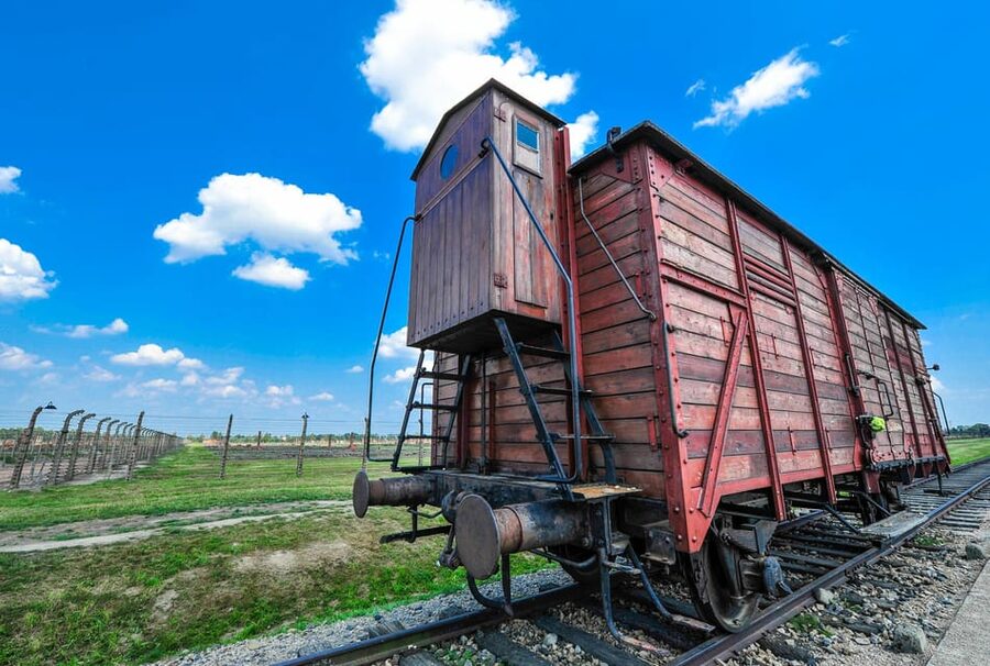 Auschwitz-Birkenau: Guided Tour with Fast Track Ticket - Birkenau, the railway ramp and the scale of the site