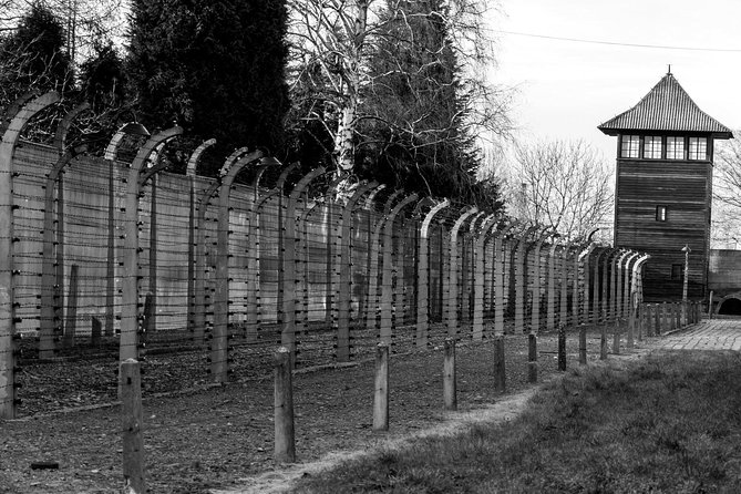 Auschwitz Birkenau Guided Tour with Ticket Hotel Pickup Small Van - The minivan ride keeps the logistics simple