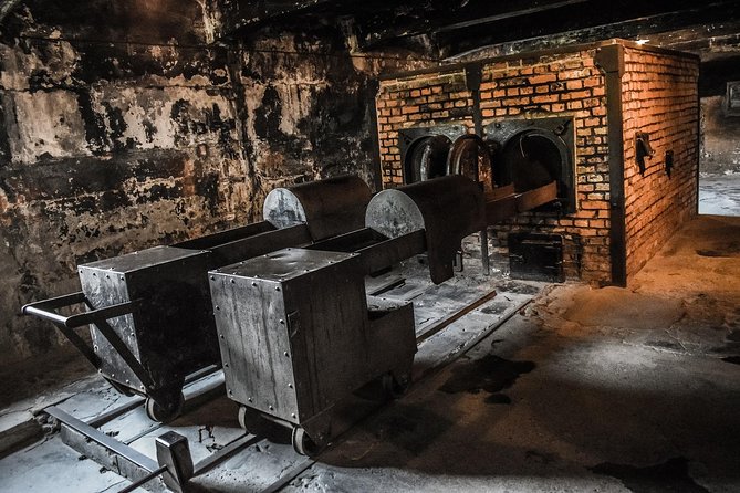 Auschwitz & Birkenau Live Guide Tour Entrance Ticket - Birkenau adds scale and silence