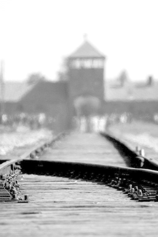 Auschwitz-Birkenau: Memorial Entry Ticket and Guided Tour - Auschwitz I, barracks, and the first part of the tour