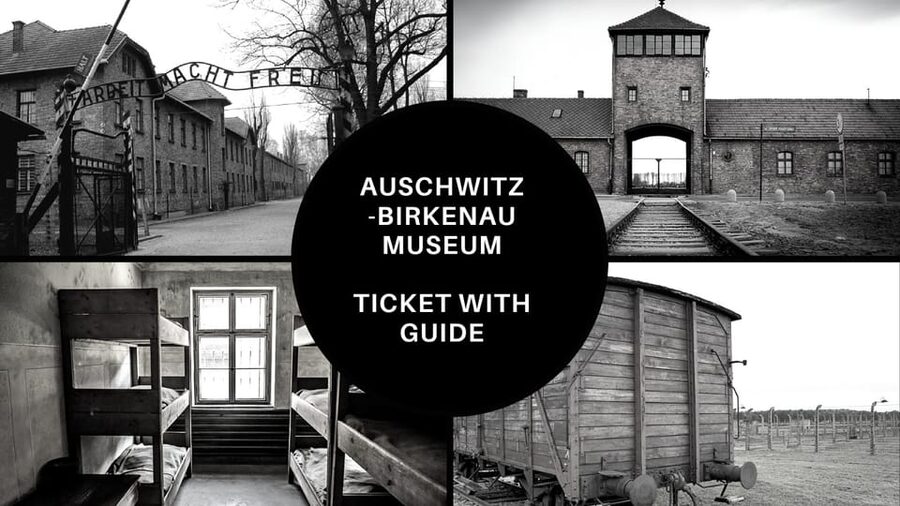 Auschwitz-Birkenau: Memorial Entry Ticket and Guided Tour - Timing, pace, and the risk of a rushed visit