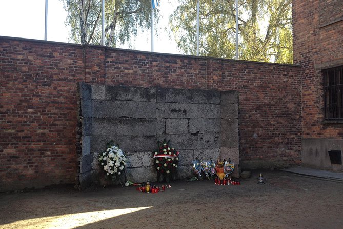 Auschwitz-Birkenau Museum and Memorial Guided Tour from Krakow - The guide makes the difference