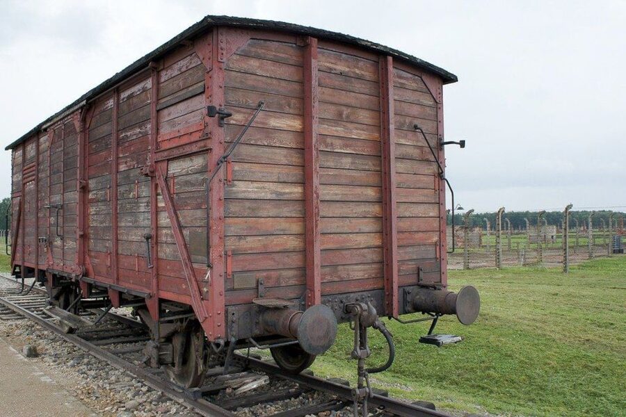Auschwitz-Birkenau: Museum Entry Ticket with Guided Tour - Strict entry rules and what to bring