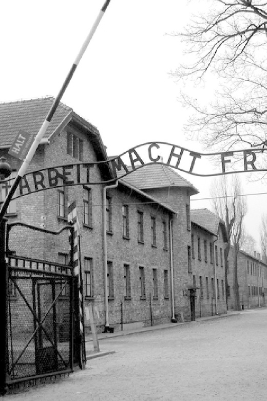 Auschwitz-Birkenau & Salt Mine Tour in One Day from Krakow - My booking advice