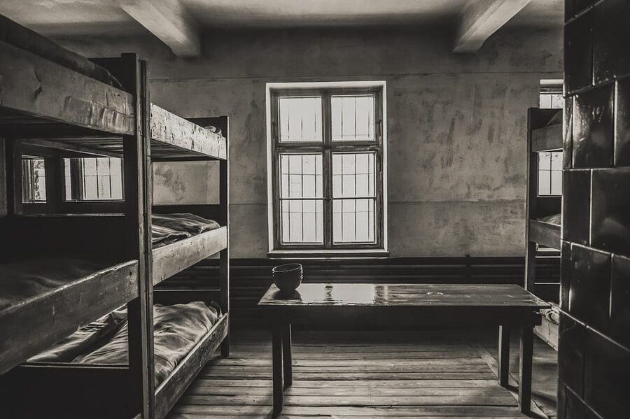 Auschwitz-Birkenau & Salt Mine Tour in One Day from Krakow - Why this pairing works, and why the day feels long