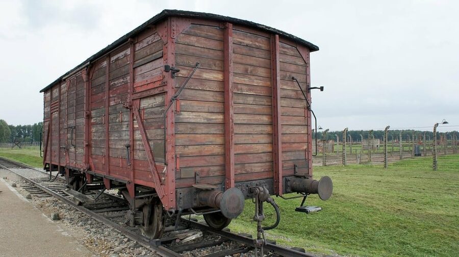 Auschwitz-Birkenau & Salt Mine Tour in One Day from Krakow - The 800 steps are not a small detail