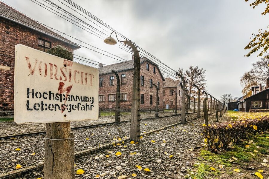 Auschwitz-Birkenau: Skip-the-Line Entry Ticket & Guided Tour - Key points at a glance