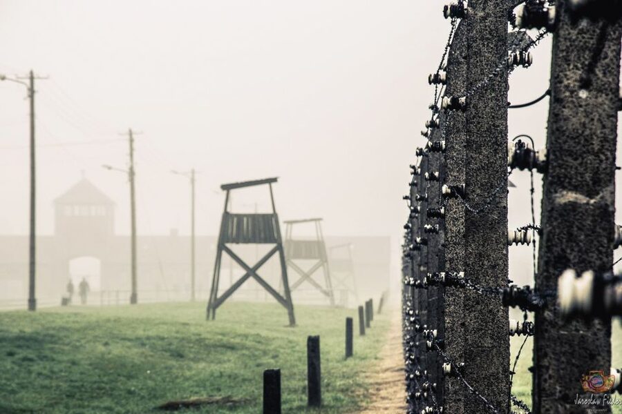 Auschwitz-Birkenau: Skip-the-Line Entry Ticket & Guided Tour - Final verdict: book it if the logistics fit
