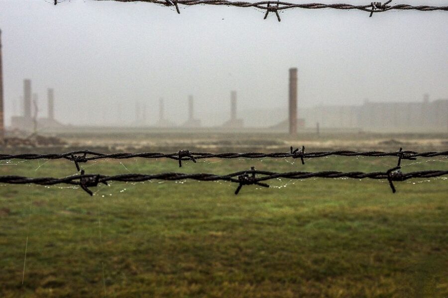 Auschwitz-Birkenau: Skip-the-Line Entry Ticket & Guided Tour - Why a guided visit matters at Auschwitz-Birkenau