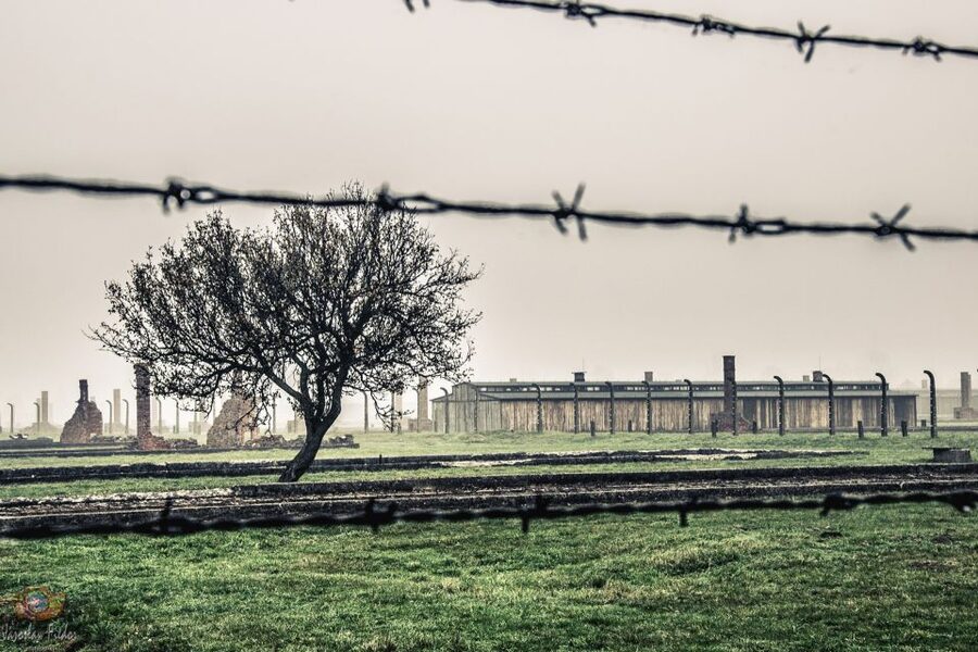 Auschwitz-Birkenau: Skip-the-Line Entry Ticket & Guided Tour - Entering Auschwitz I through the Arbeit macht frei gate