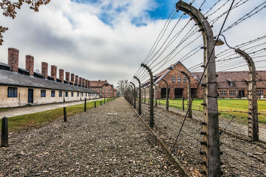 Auschwitz-Birkenau: Skip-the-Line Entry Ticket & Guided Tour - Birkenau and the scale of the camp