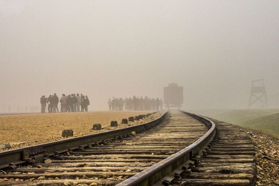 Auschwitz-Birkenau: Skip-the-Line Entry Ticket & Guided Tour - A difficult subject handled with care
