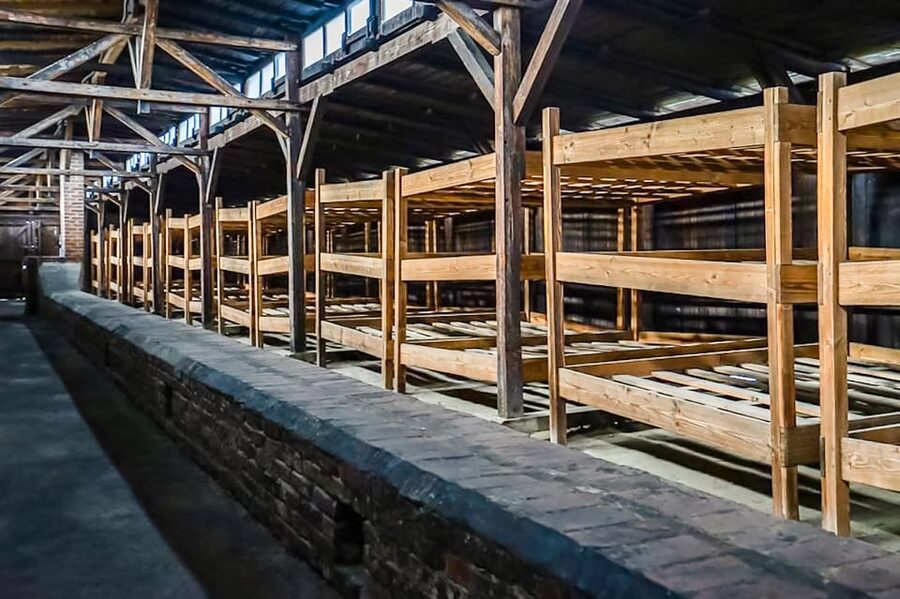Auschwitz-Birkenau Skip-the-Line Guided Tour - Birkenau and the scale of the site