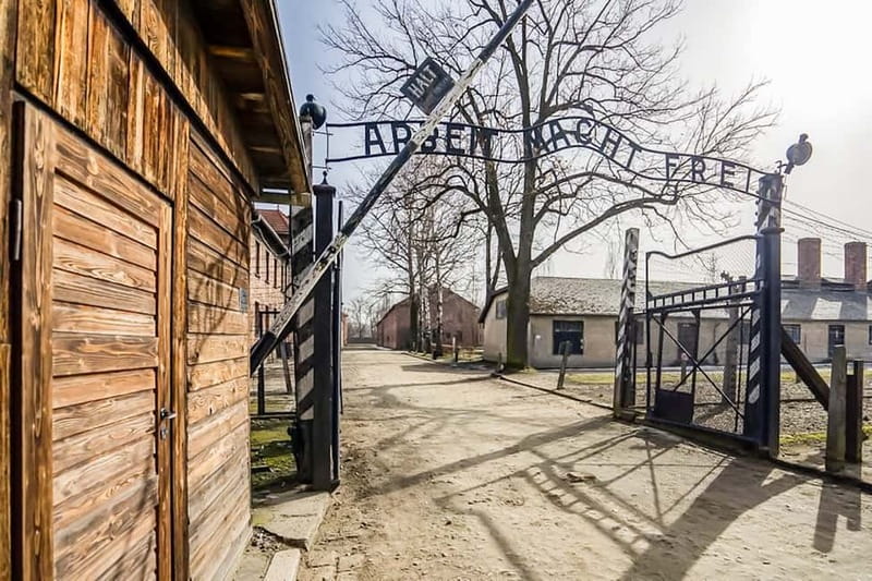 Auschwitz-Birkenau Skip-the-Line Guided Tour - The guide makes the difference