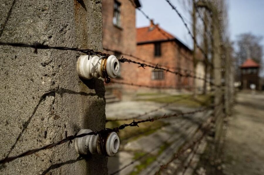 Auschwitz-Birkenau Skip-the-Line Ticket and Guided Tour - Who will get the most from this tour?