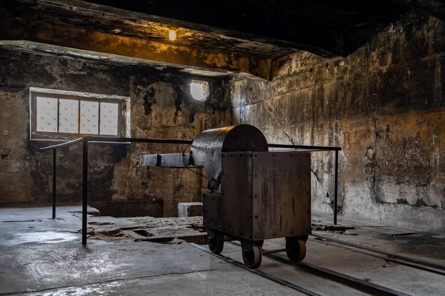 Auschwitz-Birkenau Skip-the-Line Ticket and Guided Tour - Auschwitz II-Birkenau: scale, space, and weather