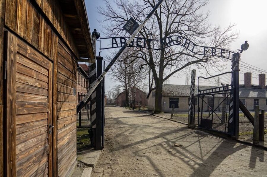 Auschwitz-Birkenau Skip-the-Line Ticket and Guided Tour - The guide makes the difference