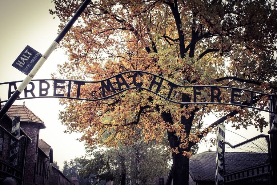 Auschwitz-Birkenau Tour from Katowice with Private Transfers - Birkenau: The Extermination Center