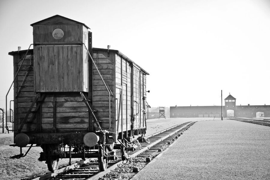 Auschwitz-Birkenau Tour from Katowice with Private Transfers - What the Official Guide Adds