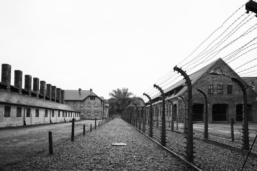 Auschwitz-Birkenau Tour from Katowice with Private Transfers - Food, Timing, and the Practical Details