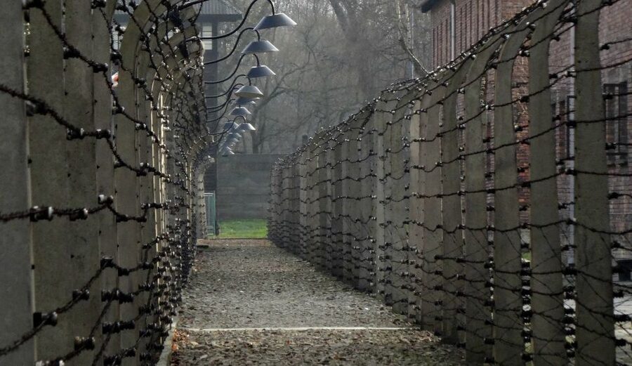 Auschwitz-Birkenau Tour from Katowice with Private Transfers - My Take on the Emotional Weight