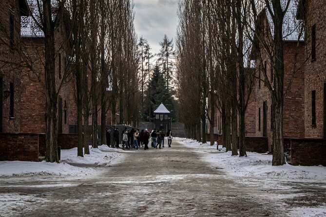 Auschwitz Birkenau Tour from Krakow: Private Transfer + Ticket - Why this Krakow day trip matters