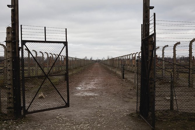 Auschwitz-Birkenau & Wieliczka in one day (Guided tour) - Transport, group size, and the value of $156