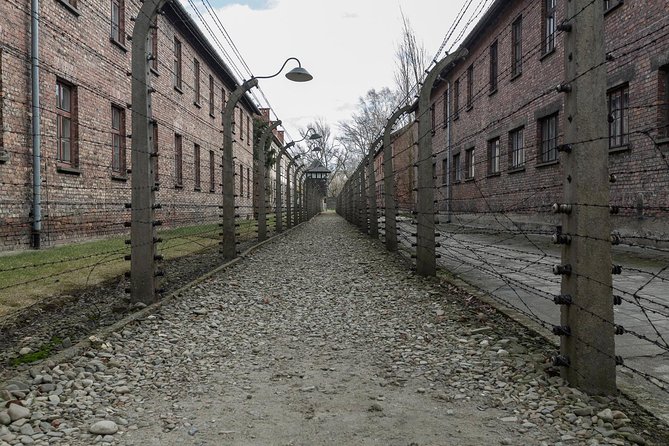 Auschwitz-Birkenau & Wieliczka in one day (Guided tour) - Timing and organization in the real world