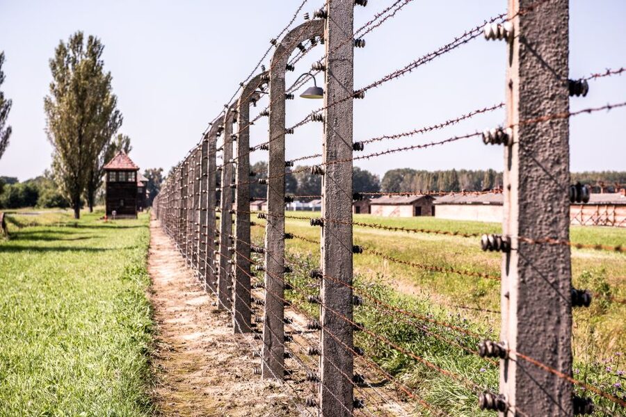 Auschwitz Ticket and Full-Day Tour from Krakow - What makes Birkenau so important