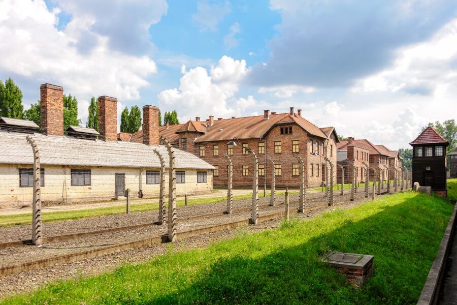 Auschwitz Ticket and Full-Day Tour from Krakow - The guide makes the difference