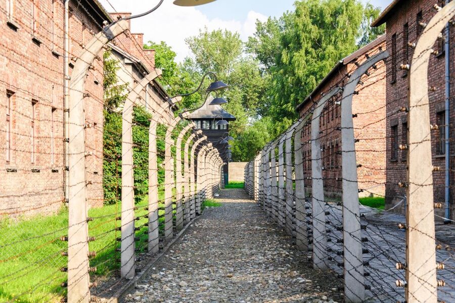 Auschwitz Ticket and Full-Day Tour from Krakow - Is $96 a fair price?