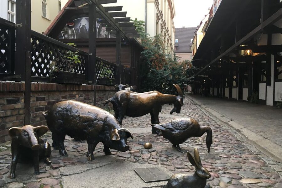 Best of Wroclaw 3-Hour History and Culture Walking Tour - Choosing the one included entrance