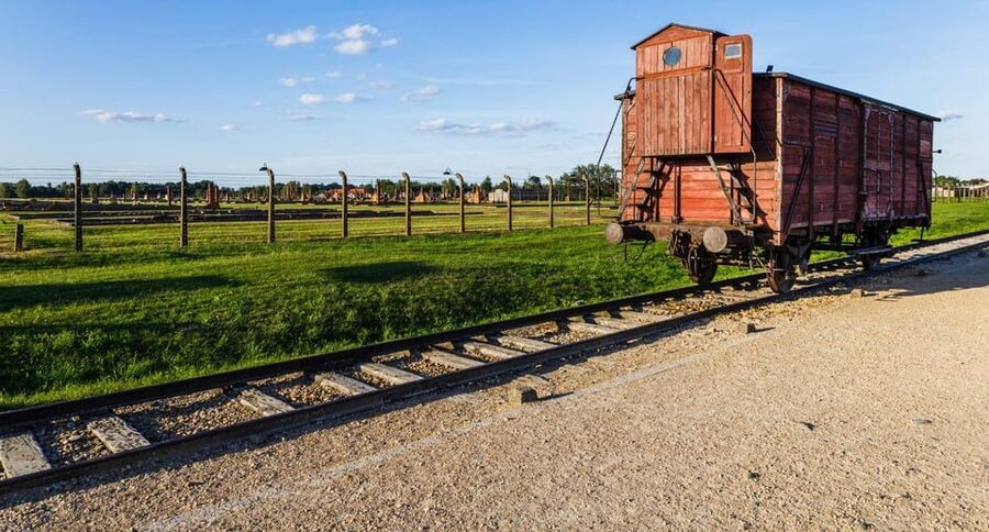 Budapest: Auschwitz Birkenau Private Day Tour - Why this is such a serious day from Budapest